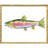 Colorful Trout Framed Art
