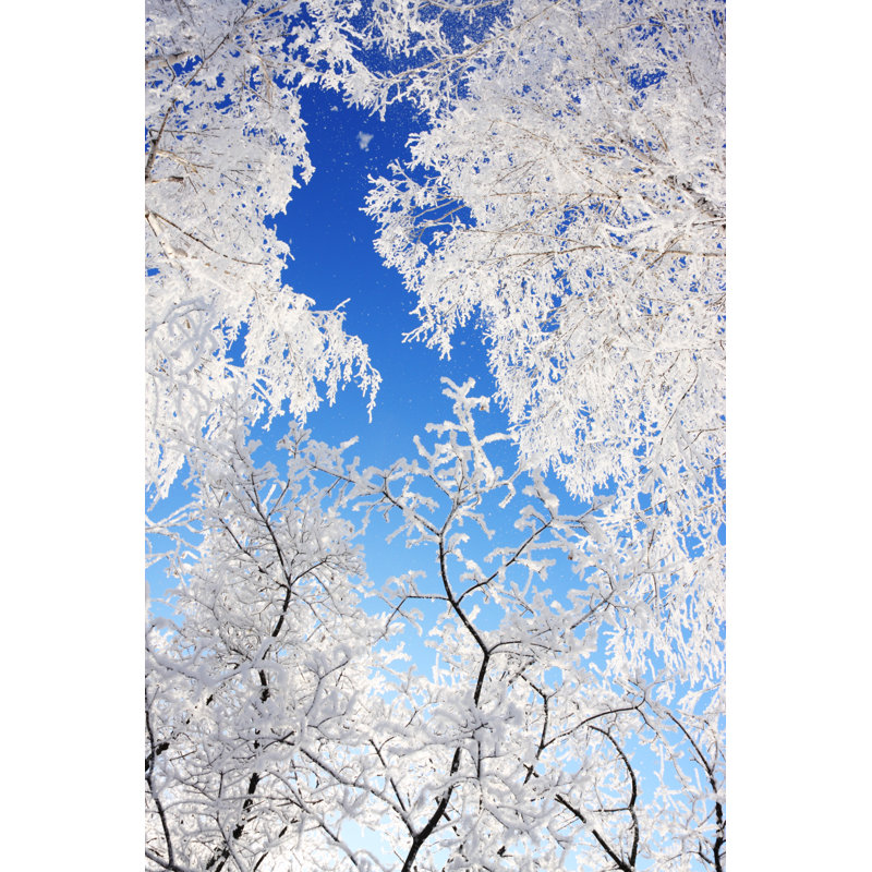 Snow Branch by Kochergin - Wrapped Canvas Print, 46cm H x 30cm W x 3.8cm D