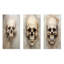 Crânes résonnants - ensemble de 3 reproductions d'art en métal-1181090894