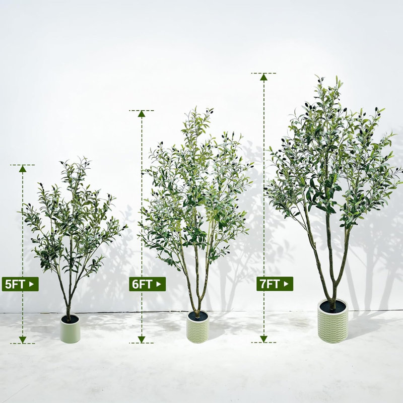 210cm Plant