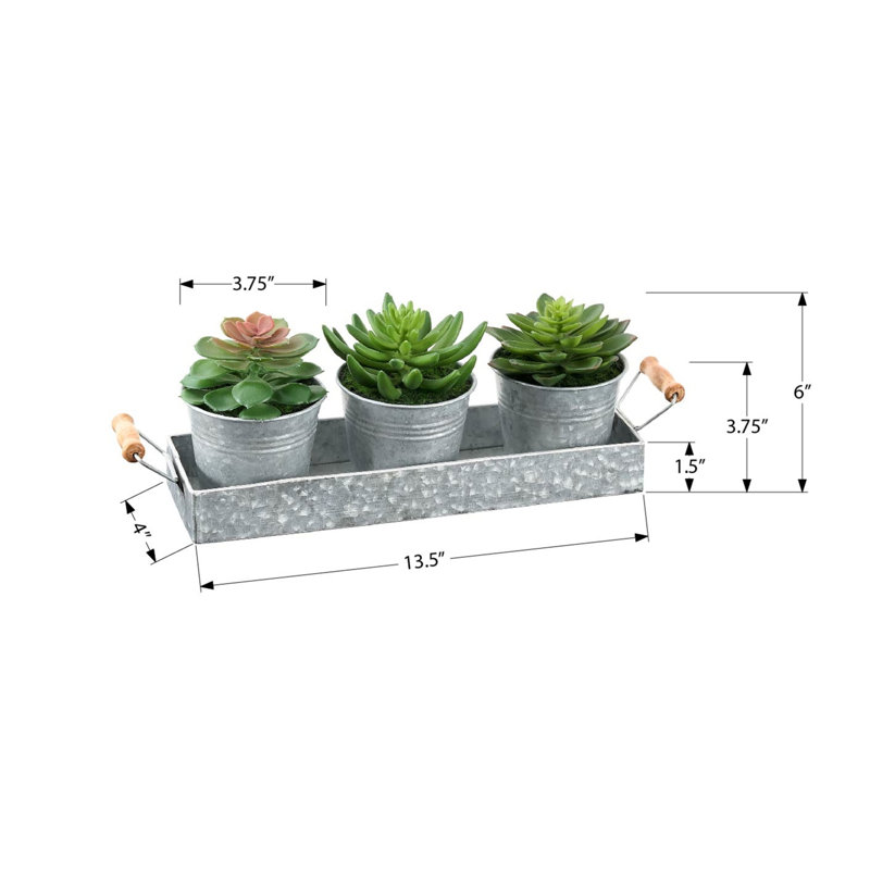Artificial Plant