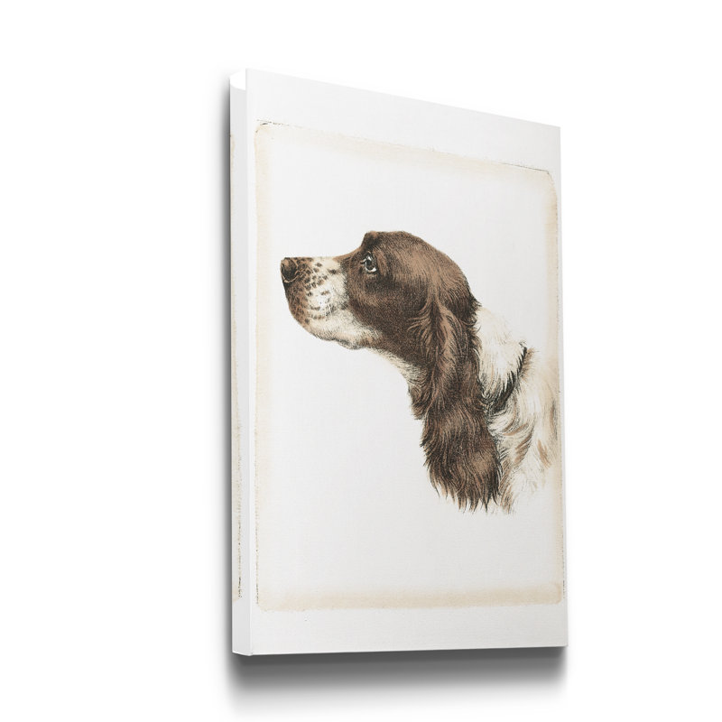Reproduction d’art sur toile tendue « Danchin Cocker Spaniel », H 20 po x l 16 po x P 1 po