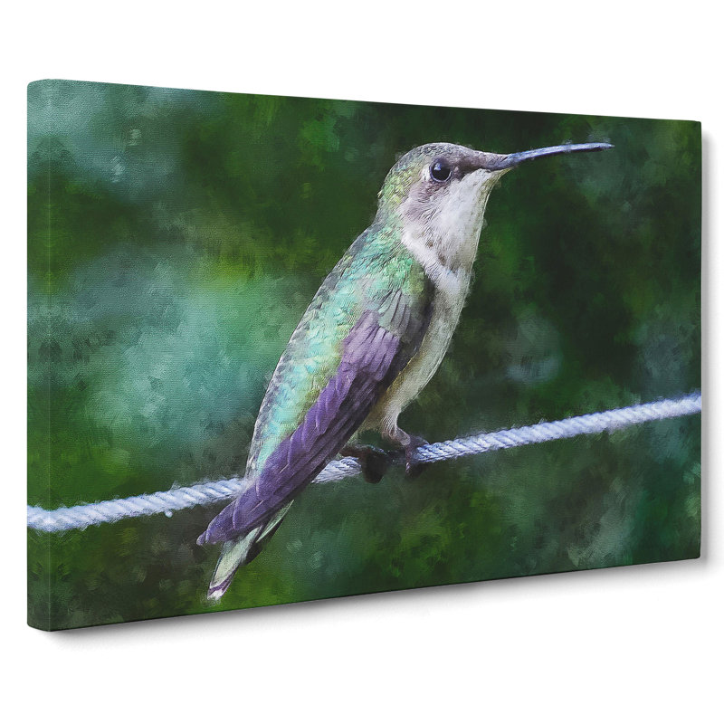 Hummingbird Vol.3 - Wrapped Canvas, 35cm H x 50cm W x 3cm D