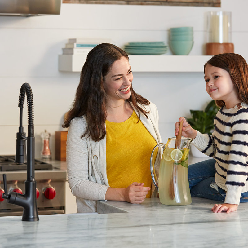 Joleena Pull Out Single Handle Kitchen Faucet, Matte Black