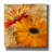 'Golden Gerbera 2' by Art Licensing Studio Canvas Wall Art