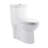 Sublime One Piece Elongated Toilet Dual Flush-99927470