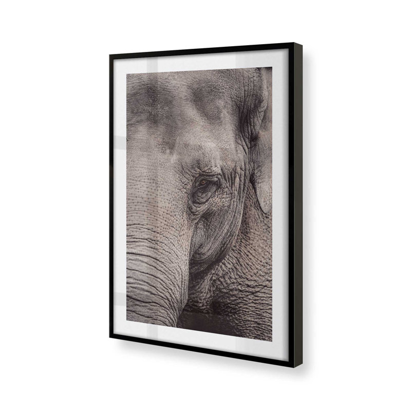 «Wise Gaze Print», dans un cadre,, H 25 po x l 19 po x P 1,25 po, Cadre noir satiné
