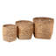 17 Stories Seagrass Decorative Basket