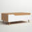 Alishan Coffee Table with Storage