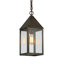 Brass Traditions - Ashford - 1 lumière - 14 pouces - laiton foncé - laiton massif - suspension-1130593302-1285480519-1285482426
