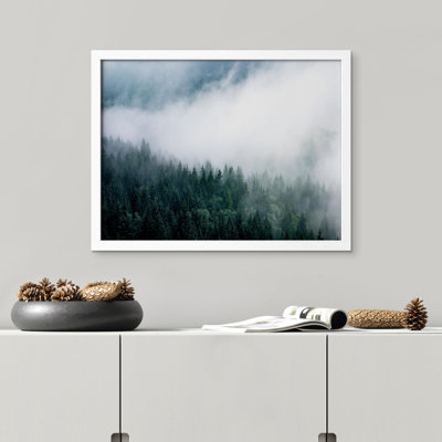 " Aerial View Misty Foggy Cloudy Dark Forest Mountain Floral Botanical "