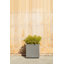 Block Series Cube Planter-86163301-86163300