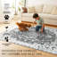 Tapis gris Parviz-952317924