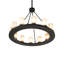 12 - Light Chandelier