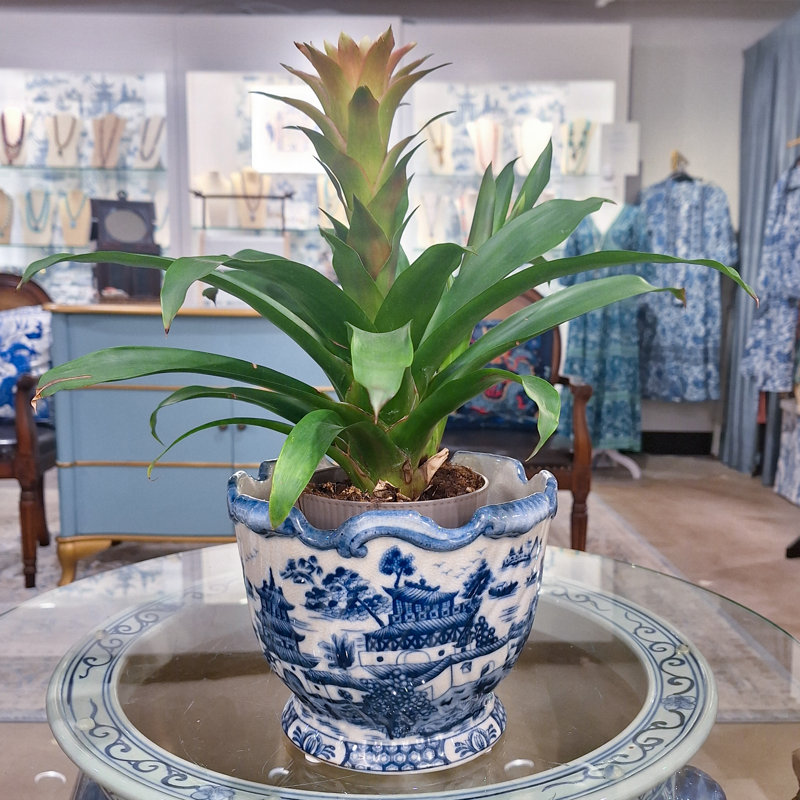 Blue Willow Handmade Ceramic Planter