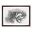 Swan in Abstract - Picture Frame Graphic Art Print-55728422-55728423