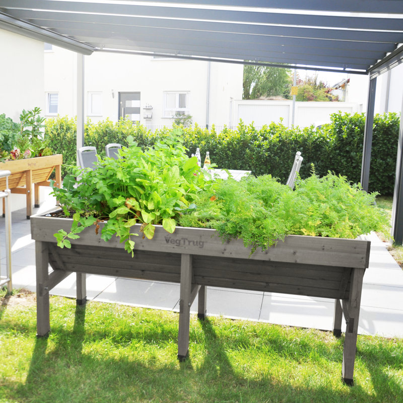 VegTrug moyen classique - gris délavé (FSC 100 %)