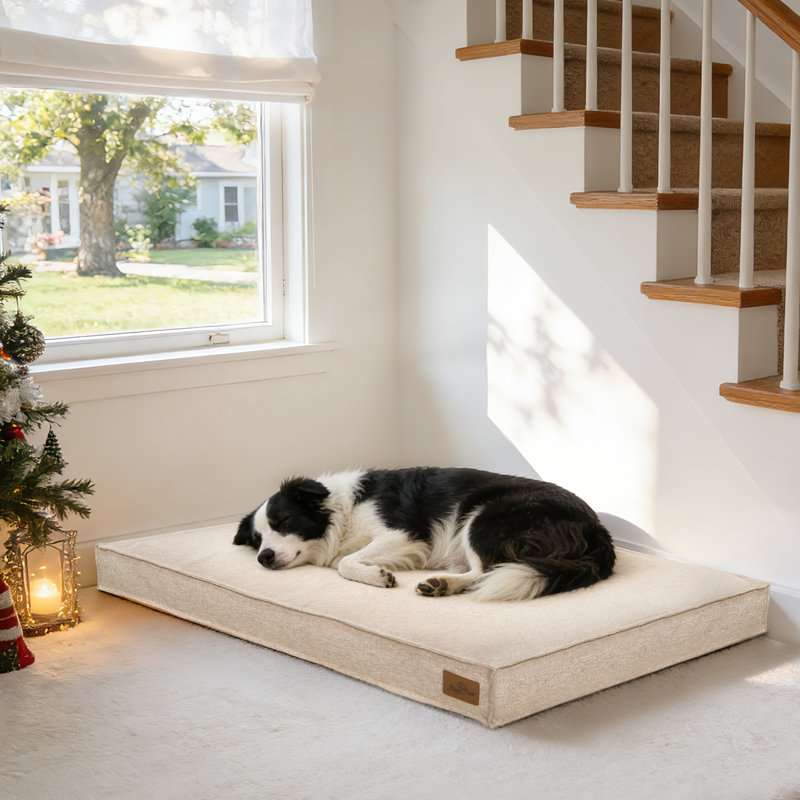 Pet Bed Firm Support Crate Mattress, Beige, Large (10cm H x 103cm W x 69cm D)
