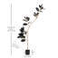 Branche de bonsaï tropical Southampton