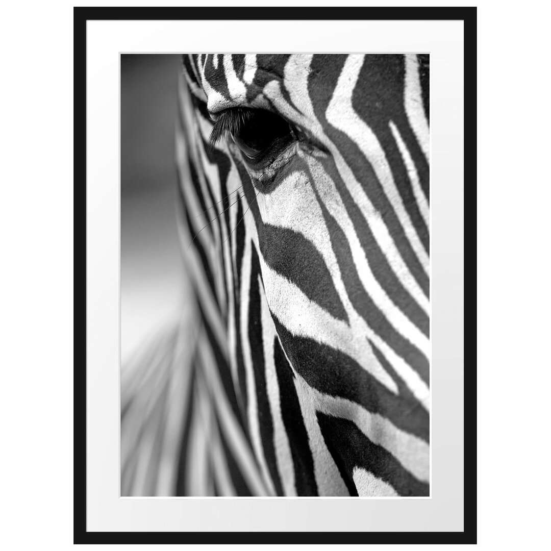 Gerahmtes Poster Zebra Nahaufnahme