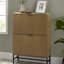 2 Door Shoe Storage Cabinet