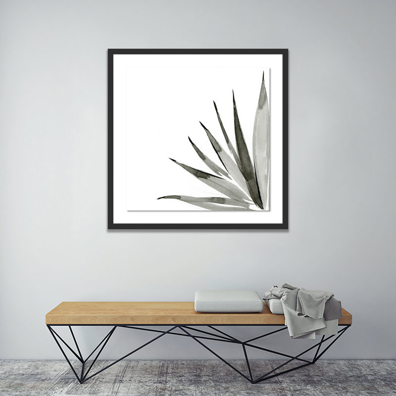 Agave I Print by Jess Engle, Black, 48" H x 48" W x 2.5" D