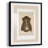 Vintage Sketch  -Framed Print