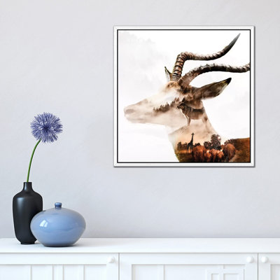 Gazelle by Paul Haag - Print on Canvas
