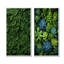 Ensemble de salon Herbs Rosemary Whispers II - Herbs Wall Art-1547113946-1547113950