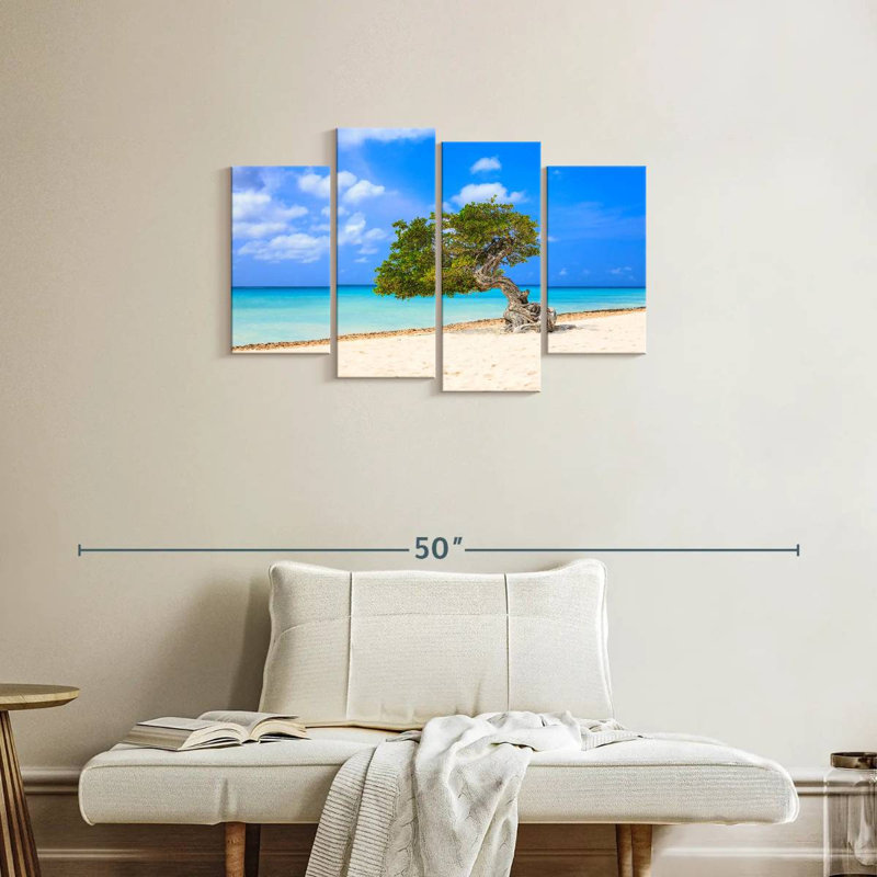 Arbre solitaire sur un Gillard d'Aruba