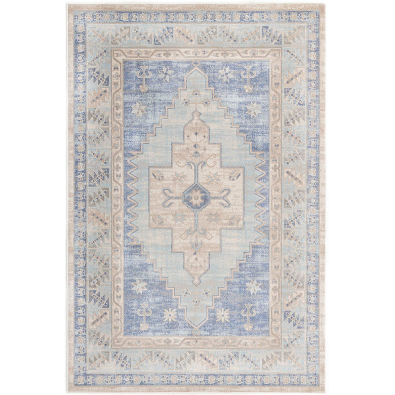 Matthei Oriental Indoor Rug, Rectangle 6' x 9'