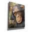 «Chimp The Thinker2» par David Stribble, art mural sur toile-1036753560