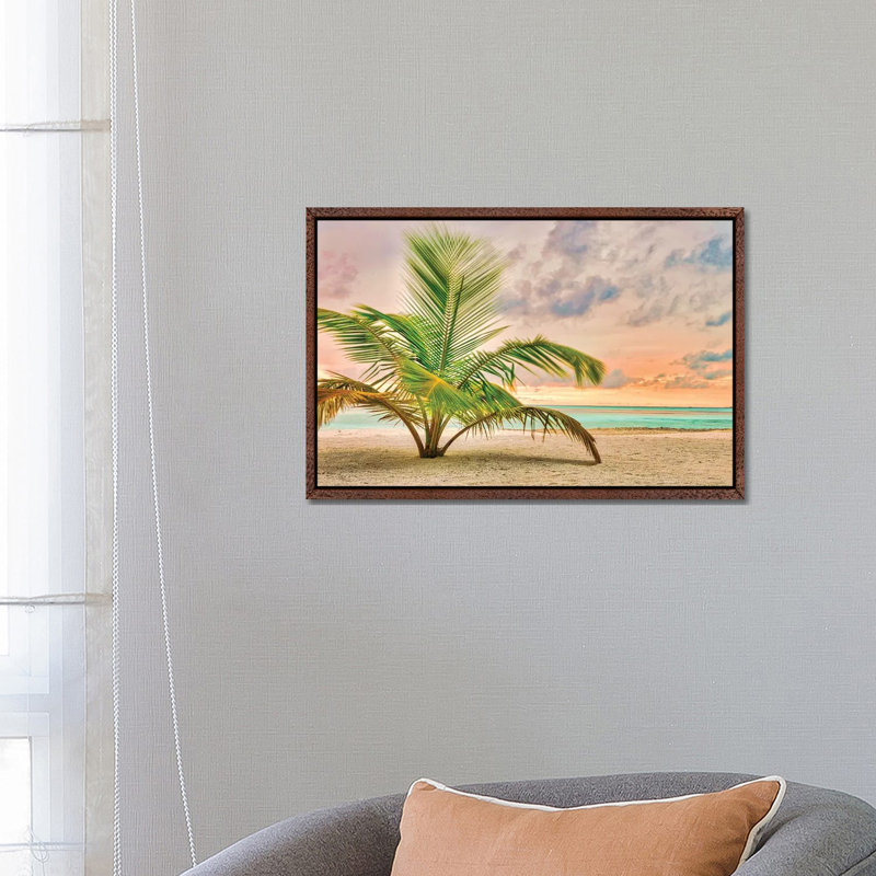 Sunset Palm by Mark Paulda - Print on Canvas, 45.72cm H x 66.04cm W x 3.81cm D, Classic Brown Wood Floater Framed