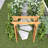 Wood Trellis For Plant Climbing