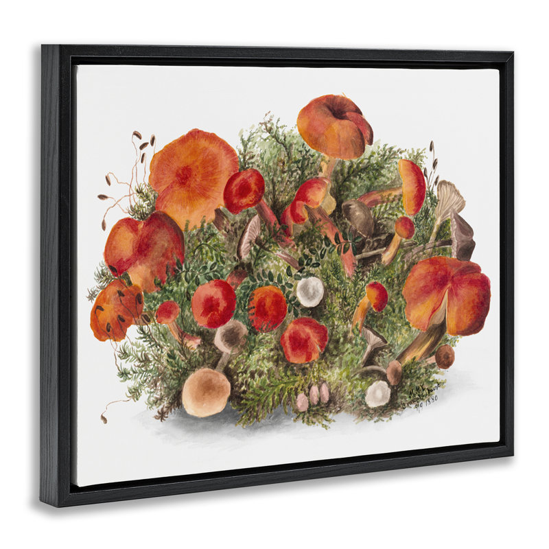 Cadre flottant Earthy, Cadre flottant noir de jais, H 17 po x l 21 po