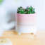 Ceramic Pot Planter-63880915