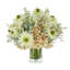 Hydrangea, Daysis,Lilac And Pampas Arrangement In A Glass Vase With Moss