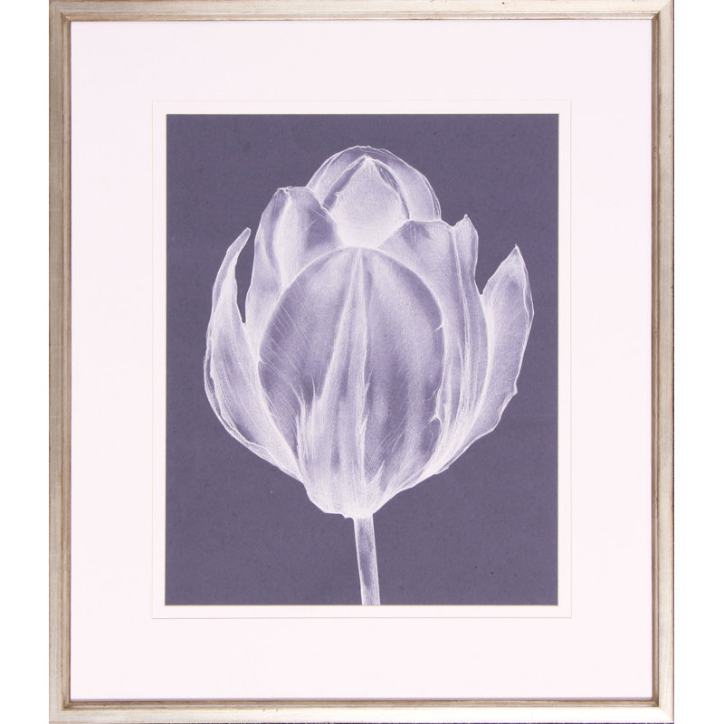 « monochrome tulipe i », impression encadrée