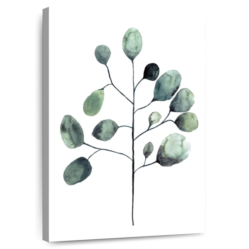 Feuilles d'eucalyptus botaniques Harnek, H 12 po x l 8 po