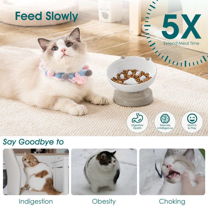 Slow Feeder, Grey/White