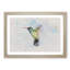 Hummingbird Paint Smudge - Picture Frame Painting Print-56735902-56735904