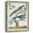 Pastel Birds VI Framed Print - Solid Wood