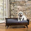 Lit pour chien en bois massif avec design Mid-Century, matériau, couverture d'eau, finition chêne foncé, forme rectangulaire, aspect poli de 10,99 po - matelas de qualité, couleur, largeur 30,2 po