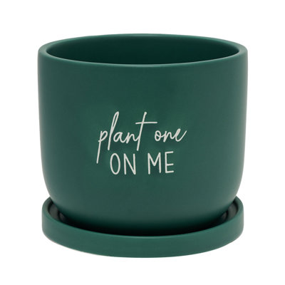 Princeston Ceramic Pot Planter