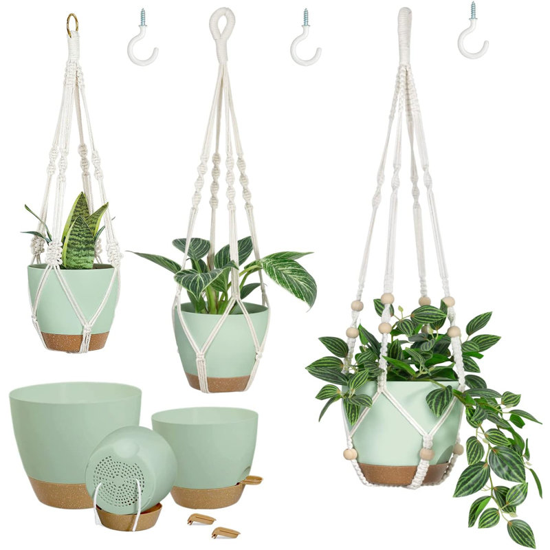 Paquet de 3 jardinières suspendues à arrosage automatique - vert 