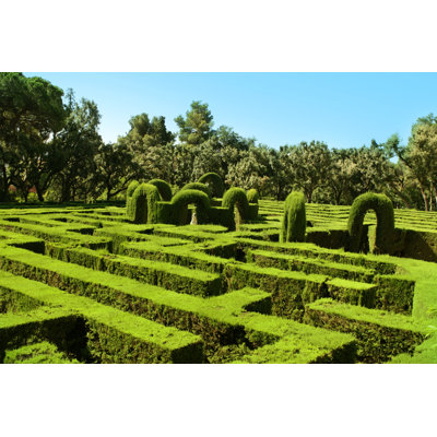 " Labyrinth Park " by Ogs