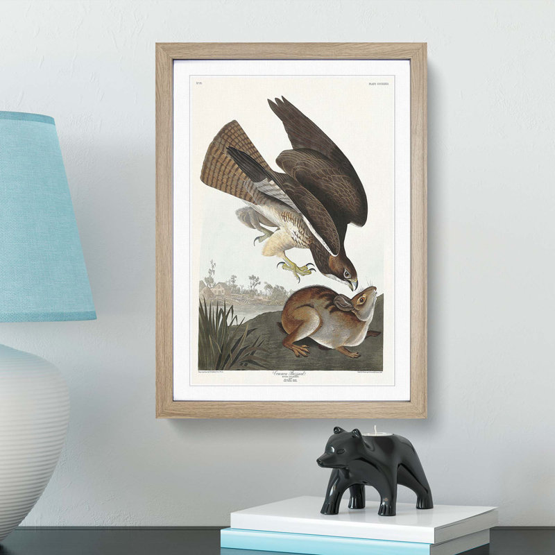 Common Buzzard & Rabbit by John Audubon - Picture Frame Painting Print, 65cm H x 48cm W x 2cm D, Oak Framed
