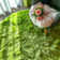 Aulis Area Rug with Non-Slip Backing