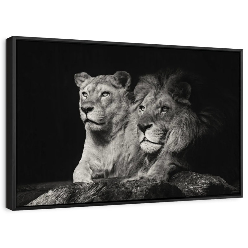 «Lion and Lioness Mates», reproduction sur toile, H 40 po x l 27 po