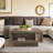 Caomhan Pedestal Coffee Table with Storage-396201883
